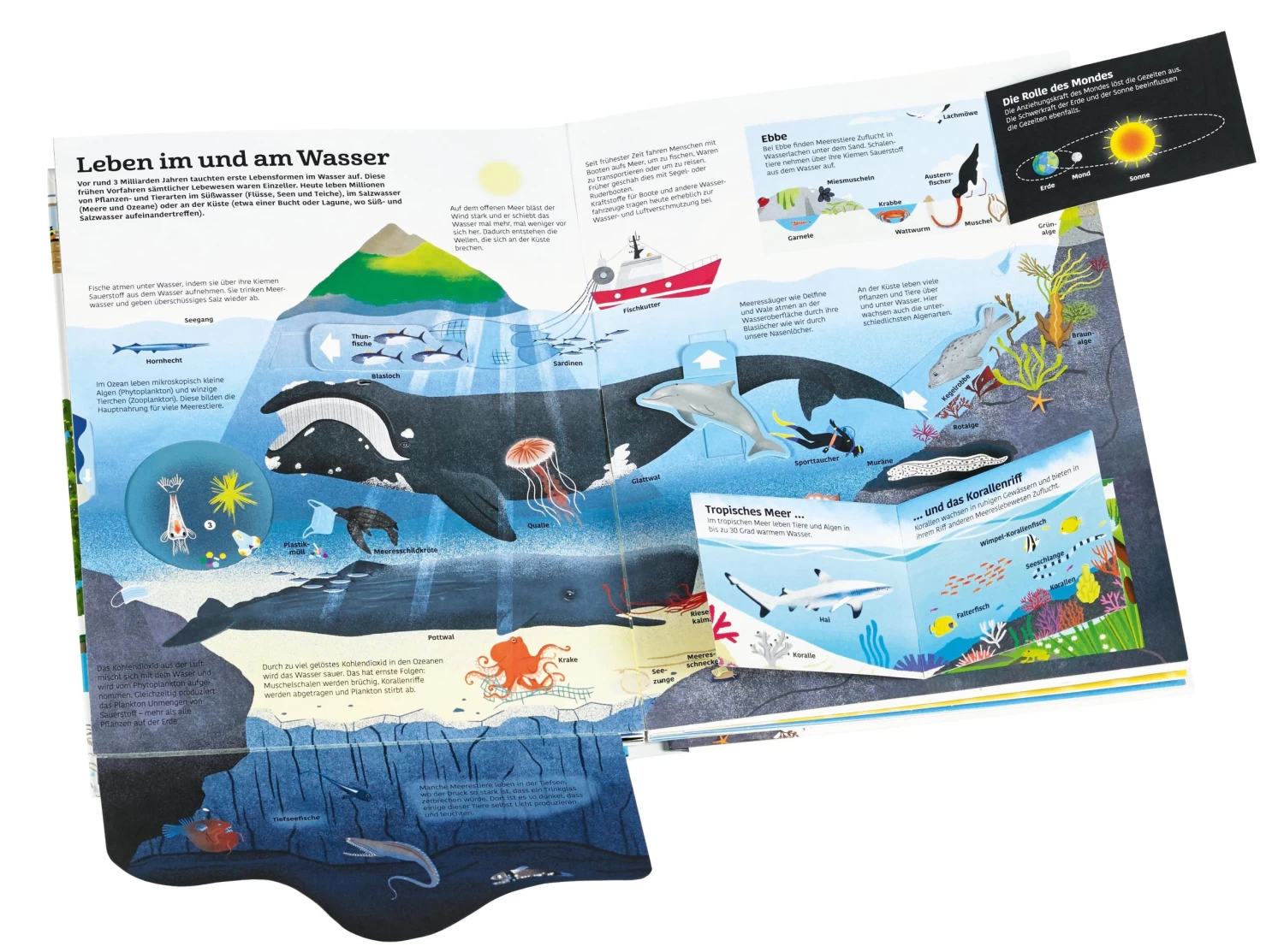 Mein Großes Buch Vom Wasser | Über 60 Klappen Und Spielelemente 2 Mein Großes Buch Vom Wasser | Über 60 Klappen Und Spielelemente – Bild 2